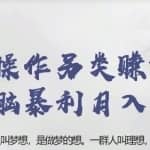 忠余网赚32计第二十计：简单操作另类赚钱项目无脑暴利月入过万