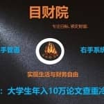 《目财36变》第二十八变：大学生年入10万论文查重冷门副业项目