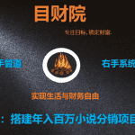 《目财36变》第十一变：搭建年入百万小说分销系统平台项目