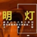 明灯副业三十六条小妙招之第28招新思路暴利项目更新版首次揭秘