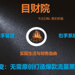 《目财36变》第十九变：无需原创打造爆款流量黑洞导航站