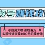 玩转微信视频号赚钱：小白变大咖涨粉百万实现快速变现1000万的现金流