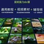 波妞波力的视频通用教程+视频素材+辅导班