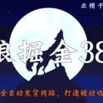 侠狼掘金38招第24招全自动发货网站，打造被动收入必备绝技