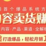 小白0基础打造自媒体卖爆品，躺着轻松月入10W+