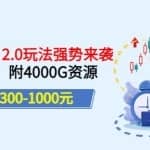 实测日赚300-1000元，叛逆稻草幼教项目2.0玩法强势来袭（价值699）附4000G资源