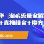 流量嘉年华[淘系流量全解]系列课：免费流量+直搜结合+魔方