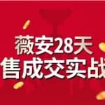 薇安28天销售成交实战技巧，5分钟成交3万，实现了月入近10W+的营收