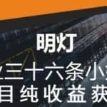 明灯副业三十六条小妙招之第14招红利项目纯收益获利福利