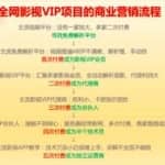 年入十万的微商电子书社群项目，网赚系列课程第51课