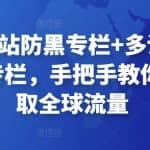 外贸独立站防黑专栏+多语言独立站建设专栏，手把手教你如何赚取全球流量