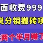 外面收费999的小说分销搬砖项目：实战两个半月赚了5W块，操作简单！