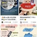 小红书自媒体项目，小白零基础抄作业，单号月入1500+没问题