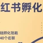 勇哥小红书撸金快速起量项目：教你如何快速起号获得曝光，做到月躺赚在3000+