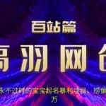高羽网创百站篇第7讲：永不过时的宝宝起名红利项目，捞偏门年入30万