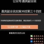 嘉宾副业说实操36技第三十四技：抖音高仿蓝海变现引流新渠道，搞定货源月入十万级别暴力项目