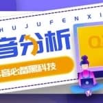 最新版抖抖分析师（原抖音分析师）养号分析+违规词检查+dou+效果分析+作品权重检测