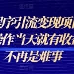 微信小程序引流变现项目教程，以当天操作当天就有收益，变现不再是难事