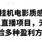 2022挂机电影质感游戏类无人直播项目，无版权风险多种盈利方式