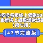 《拼多多名师线上领跑28天》2022全新线上超级爆款运营方向【第七期】43节课