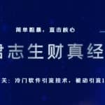 君志生财真经第十关：冷门软件引流技术，被动引流1w+