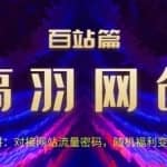 高羽网创百站篇第16讲：对接网站流量密码，随机短视频变现LSP
