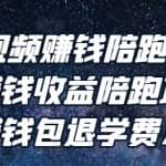逆冬·中视频赚钱陪跑，卖中视频账户赚钱收益陪跑项目