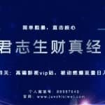 君志生财真经第十四关：高端影视vip站，被动燃爆流量日入200+