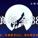 侠狼掘金38招第12招实操教学SEO，揭秘搜索排名的内幕