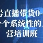 视频号直播带货0-1内训课，一个系统性的直播运营培训班