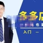 98K电商学院·拼多多店群培训课，0基础也能学，从入门到精通-价值2499元