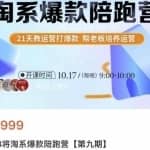 108将淘系爆款陪跑营【第九期】，从淘宝0开始，手把手教你链接起飞，爆款不断