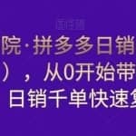 白凤电商学院·拼多多日销千单训练营（更新11月），从0开始带你做好拼多多，日销千单快速复制