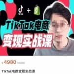 TikTok电商学长Ethan·TikTok电商变现实战课，TikTok运营及广告投放+Shopify独立站运营