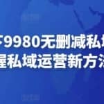 毛毛姐线下9980无删减私域运营，掌握私域运营新方法