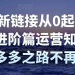 拼多多新链接从0起盘必须掌握，进阶篇运营知识！让你拼多多之路不再迷茫