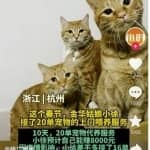 同城副业，日赚800块，有点累但是很赚钱！