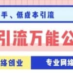 低成本豆瓣引流万能公式3.0，让你简单掌握豆瓣引流的核心玩法