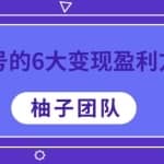 6大视频号变现的盈利方法，每一种做到极致都能年赚100W+