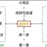 从零开始带你玩赚微信视频号：这么玩才赚钱，日引流500+日收入1000+核心玩法