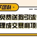 利用闲鱼免费送暴力吸粉，引流到微信代理成交暴利项目