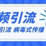 视频软件批量自动化病毒式，传播引流精准粉实战方法课程