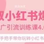 狼叔小红书引流爆款推广训练课4.0，手把手带你玩转小红书