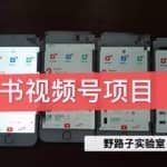 野路子小红书视频号1.0项目，直接上手操作就能赚钱的短视频项目