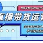 数据哥·新直播带货运营课(含电子资料)：破冷启动、818算法破解、高效率带货等