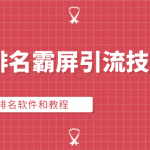QQ群批量排名霸屏引流操作方法，快速上排名软件和方法（全套课程）