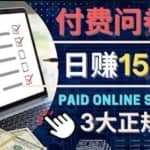 参与付费调查，利用自己的空闲时间完成问卷，适合新手的平台，日赚15美元