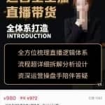 七玥·零基础电商教学，运营型主播直播带货全体系打造，全方位梳理直播逻辑