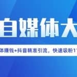 自媒体赚钱+抖音精准引流，新手小白快速吸粉11万多