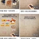 月入过万的视频号网络赚钱项目解析！